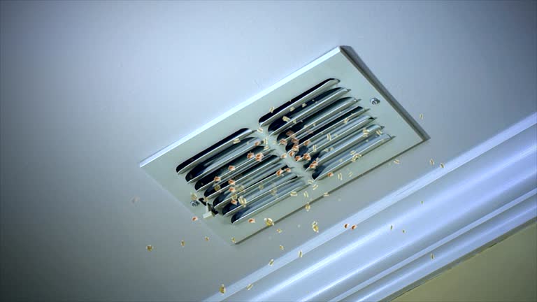 Best Air Duct Cleaning Near Me in Uhland, TX